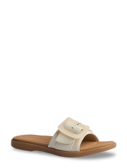 CJ8582_REEF-1