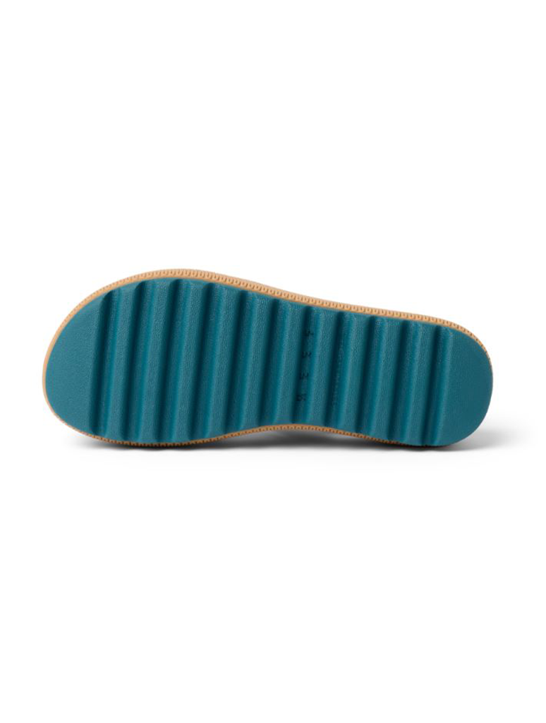 CK0229_REEF-4