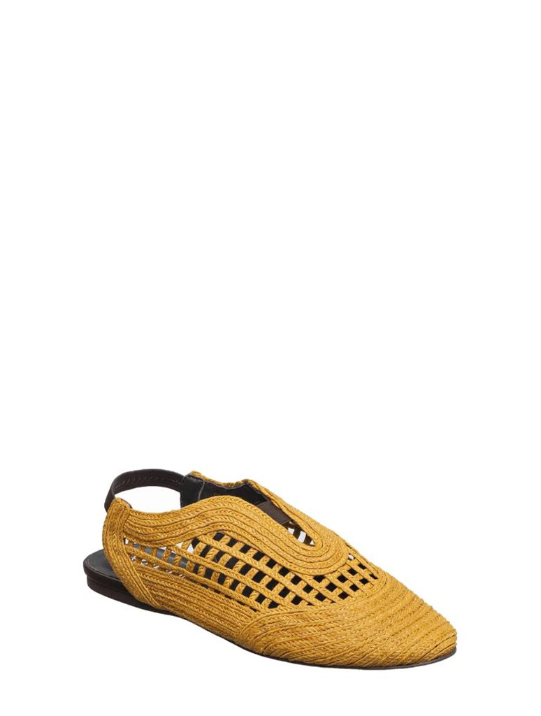 J02-DAISY-MUSTARD_ANTELOPE-1