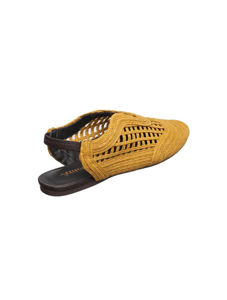 J02-DAISY-MUSTARD_ANTELOPE-4