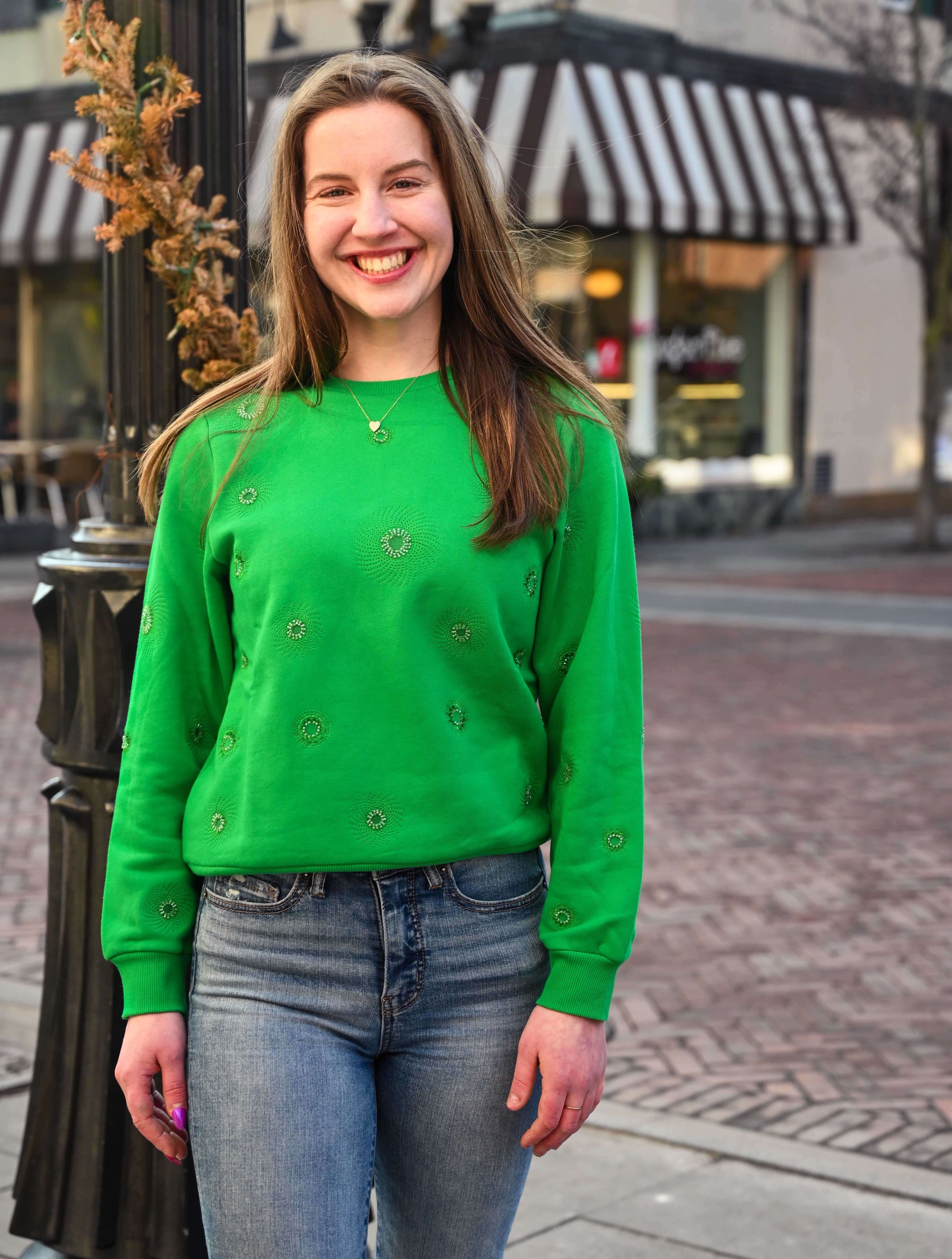 Desigual Joyta Geometric Embroidery Sweatshirt in Verde