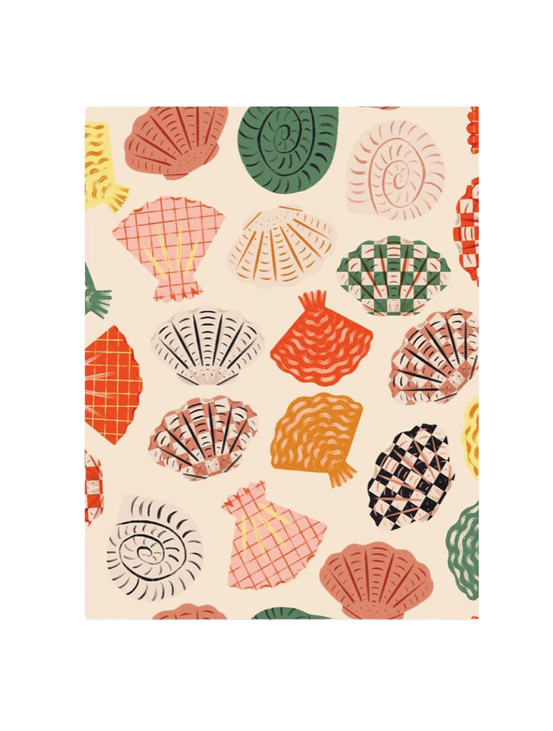 SHELLS_OLIVEANDCOMPANY-1
