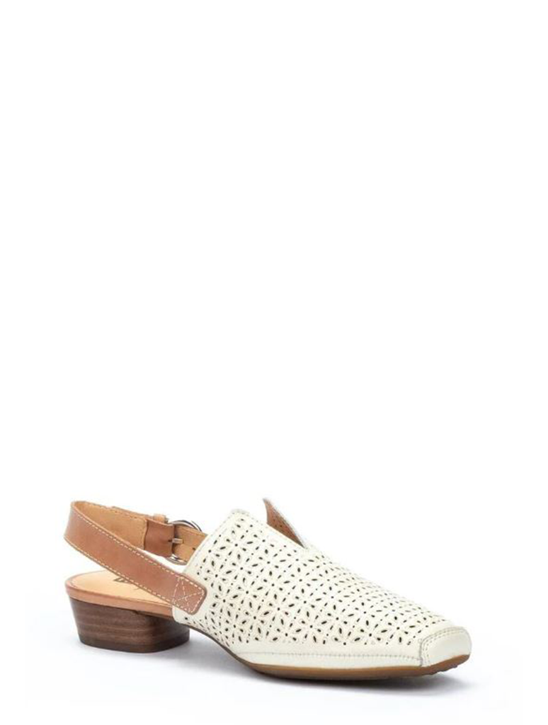 W1N-5955C1-NATA_PIKOLINOS-1