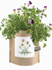 "Happy Birthday" Garden In A Bag