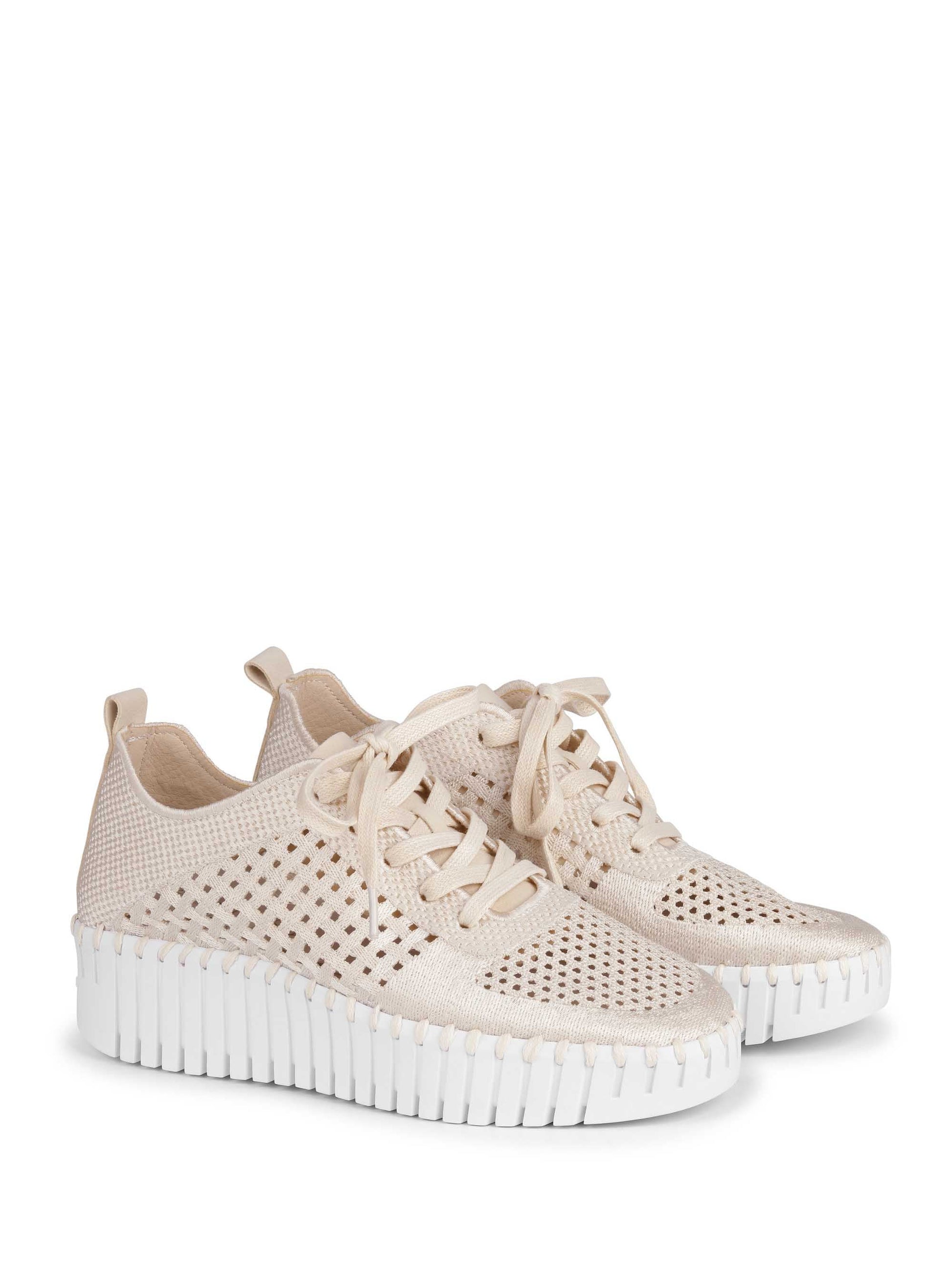 Ilse Jacobsen Tulip 4271 Lace Up Sneaker