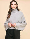 Turtleneck Raglan Sleeve Sweater with Button Detail