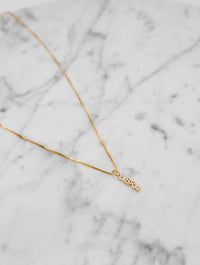 Zodiac Necklaces in Gold