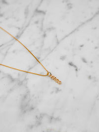 Zodiac Necklaces in Gold