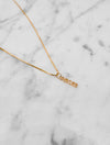 Zodiac Necklaces in Gold